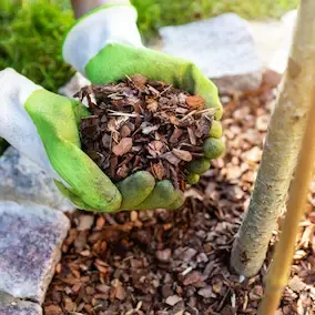 Neuroprime Key Ingredients